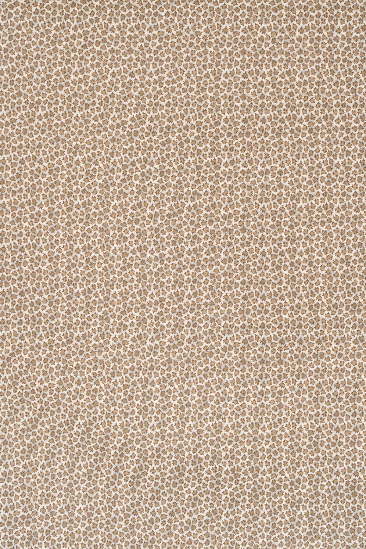 Eton Fabric by Jean Monro in Mocha