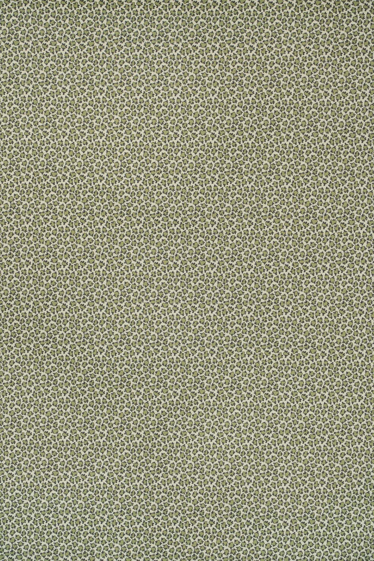 Eton Fabric by Jean Monro in Moss