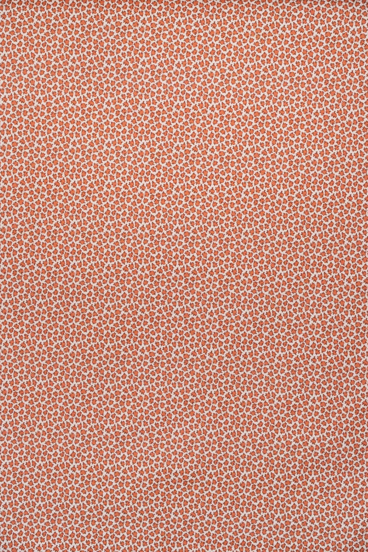 Eton Fabric by Jean Monro in Tango
