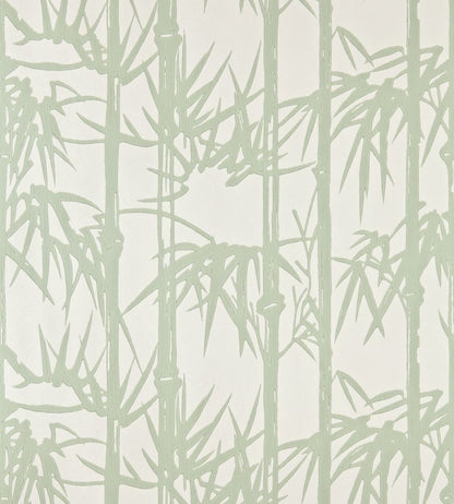 Bamboo Wallpaper by Farrow & Ball Cooking Apple Green