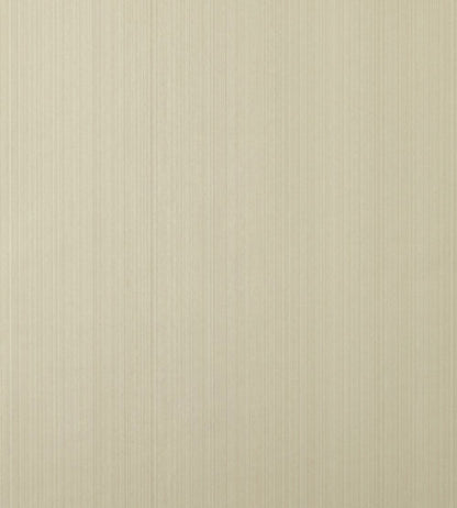 Drag Wallpaper by Farrow & Ball Ringwold Ground No.208