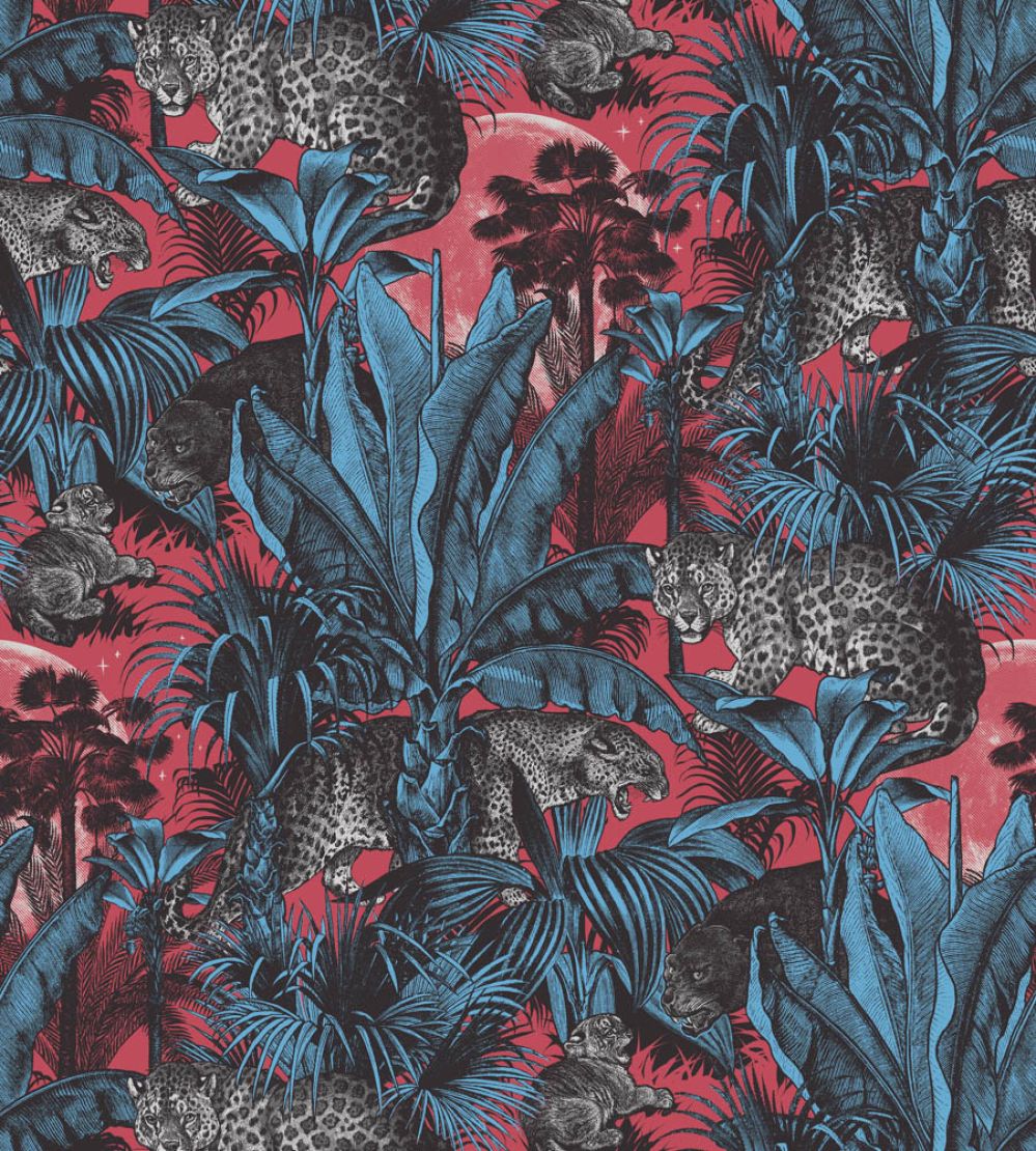 Faunacation Wallpaper by Divine Savages Majestic