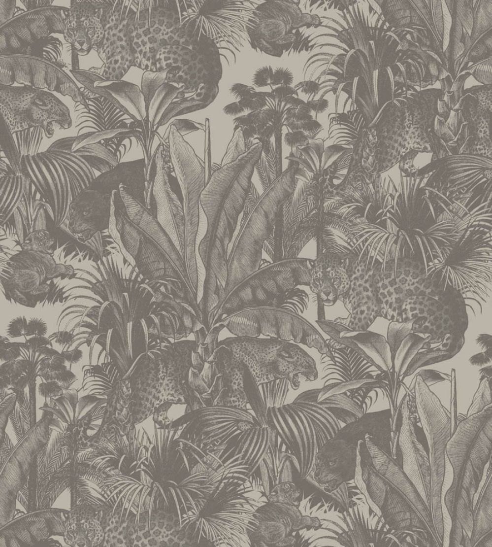 Faunacation Wallpaper by Divine Savages Savannah Gold