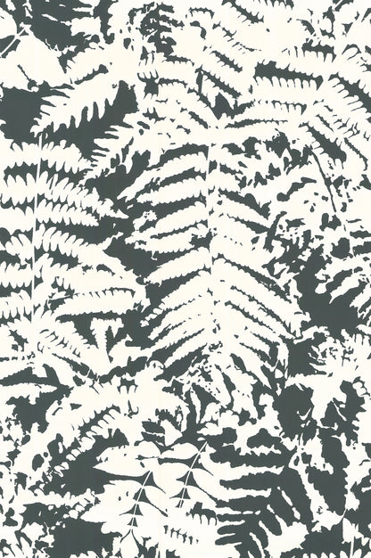 Fern wallpaper by Little Greene in Off Black