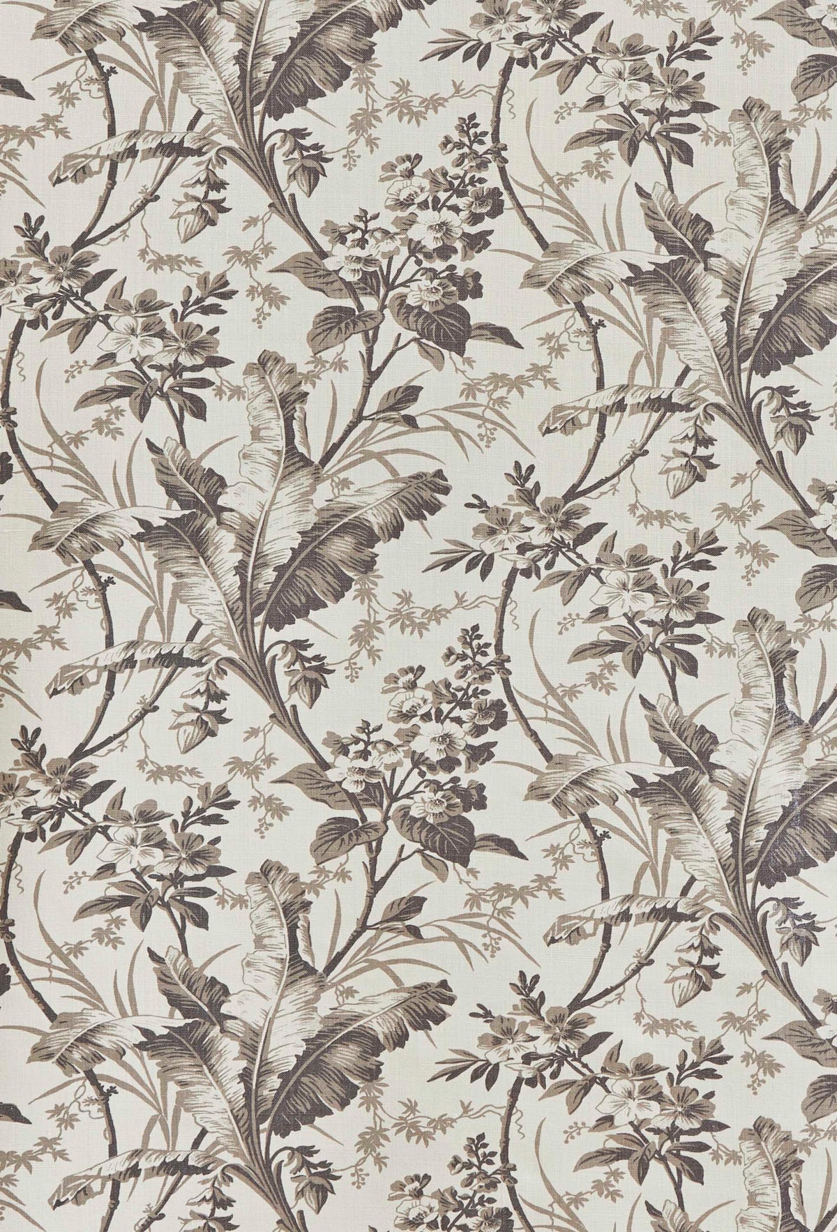 Fernbrook Fabric by Jean Monro in Graphite