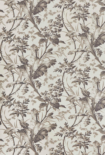 Fernbrook Fabric by Jean Monro in Graphite