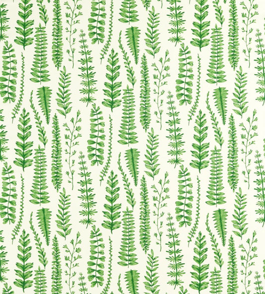 Ferns Fabric by Scion Juniper
