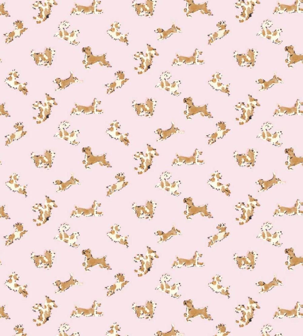 Fete De Chien Wallpaper by Scalamandre Ballerina Pink And Honey