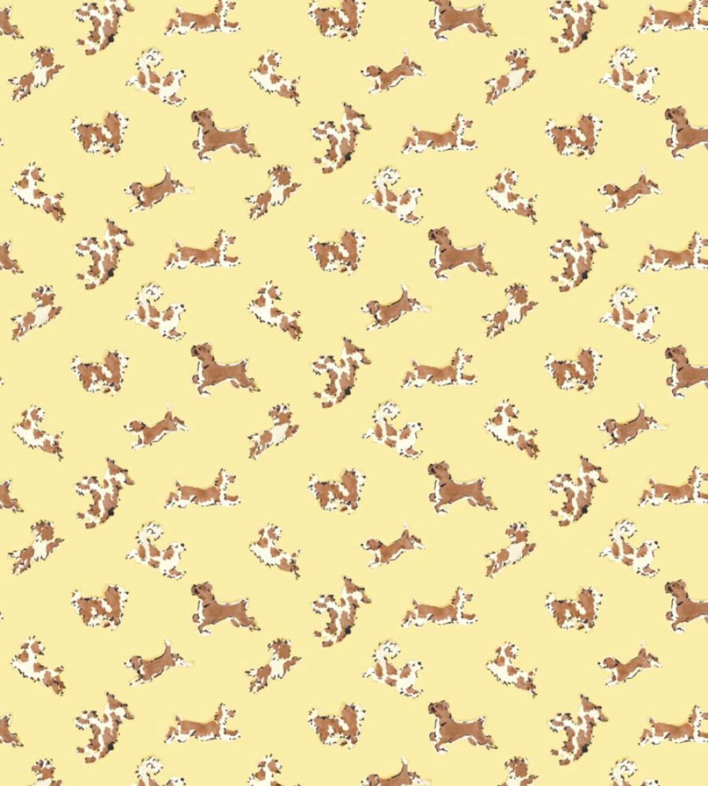 Fete De Chien Wallpaper by Scalamandre Lemon And Siena