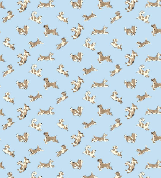 Fete De Chien Wallpaper by Scalamandre Light Blue And Suede
