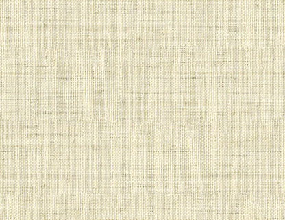 Fibrae-IV contract wallcovering by Coordonné in Beige/Nude 64945303, flat pattern view