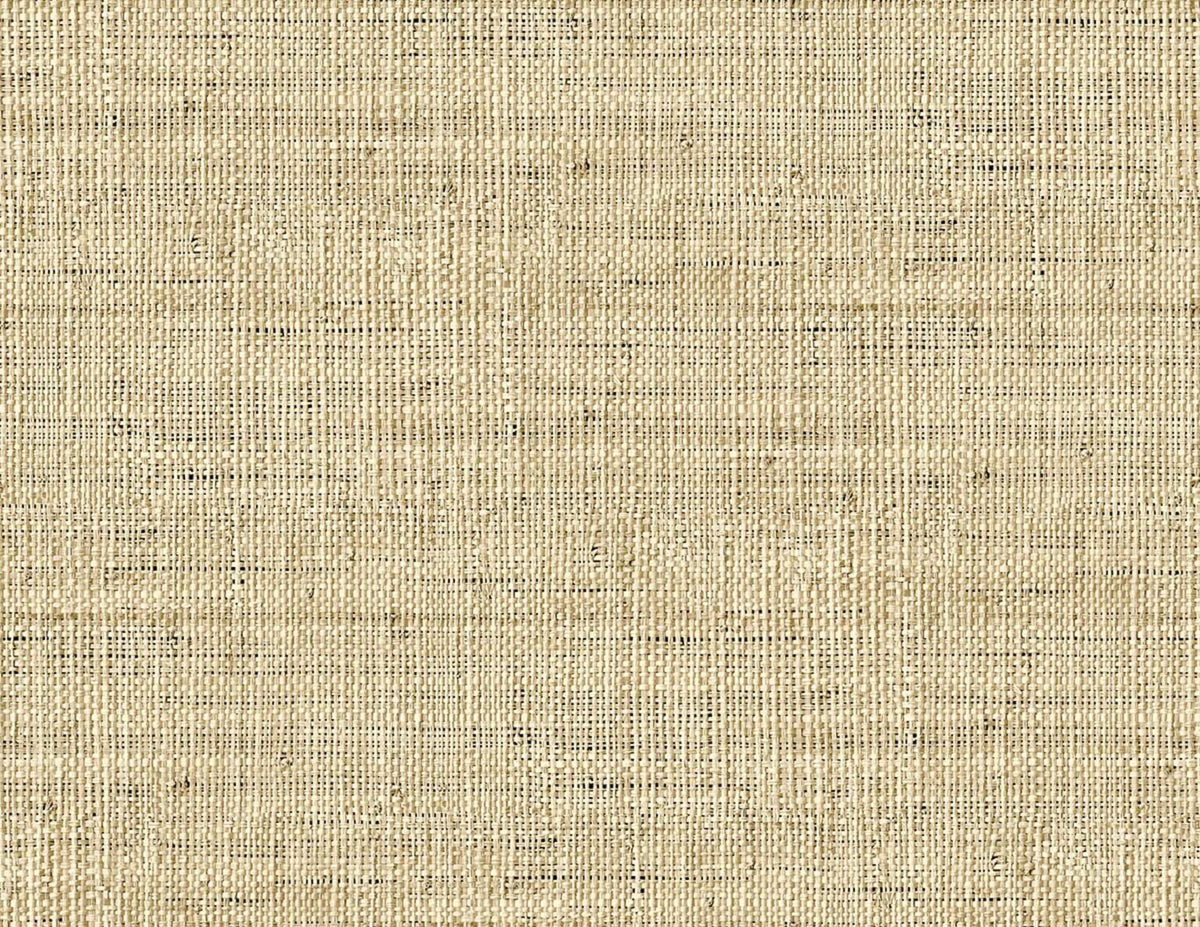 Fibrae-IV contract wallcovering by Coordonné in Beige/Nude 64945315, flat pattern view