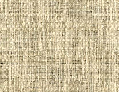 Fibrae-IV contract wallcovering by Coordonné in Beige/Nude 64945315, flat pattern view