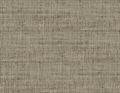 Fibrae-IV contract wallcovering by Coordonné in Beige/Nude 64945316, flat pattern view