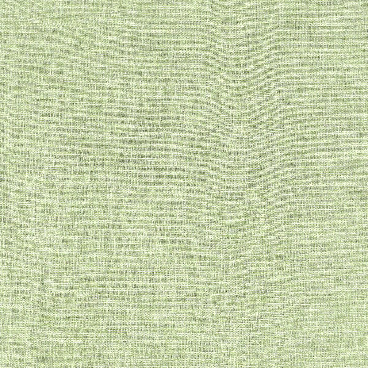 Finley Fabric by Thibaut in Willow (W81609)