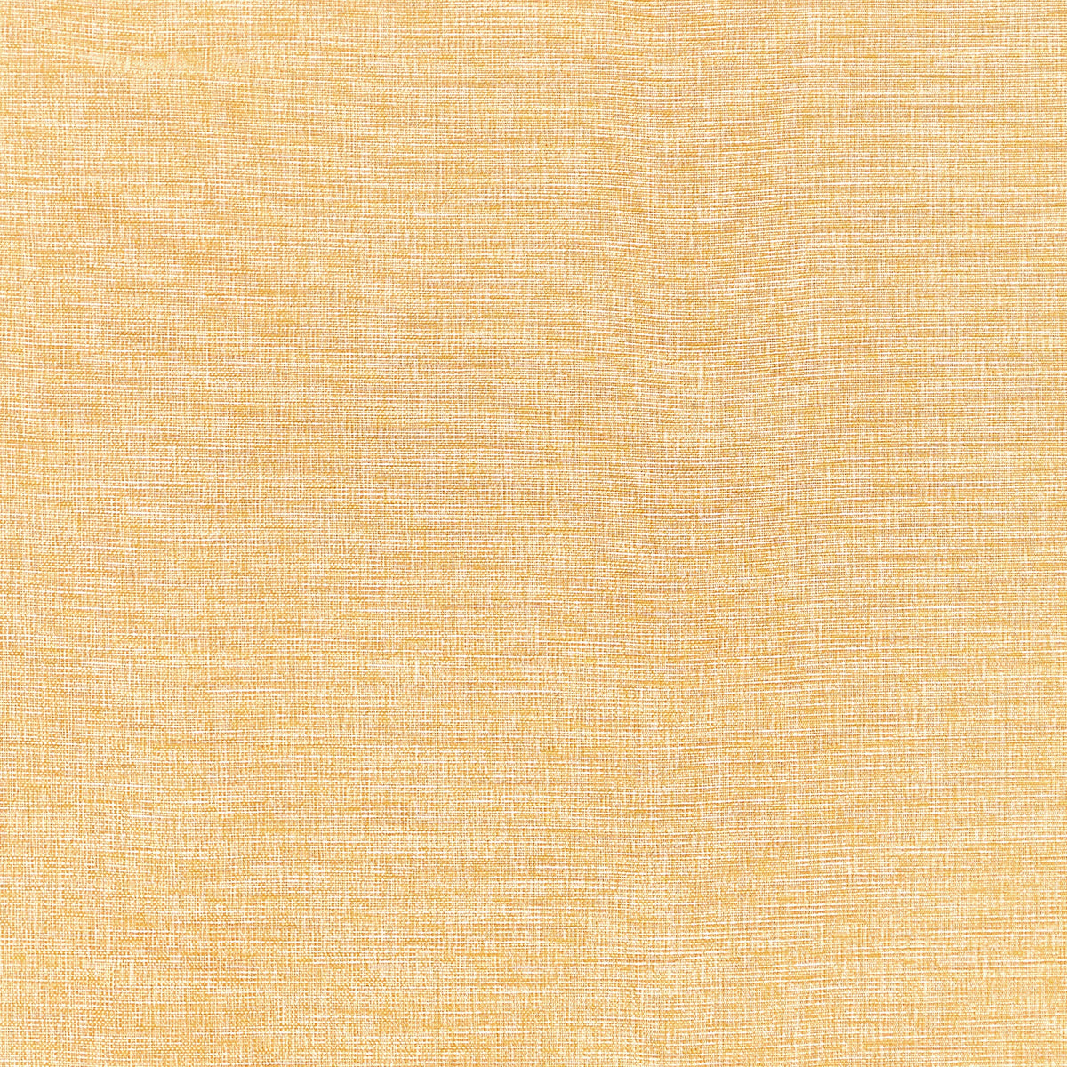 Finley Fabric by Thibaut in Daisy (W81610)