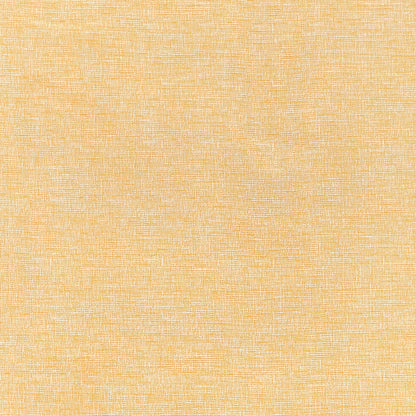 Finley Fabric by Thibaut in Daisy (W81610)