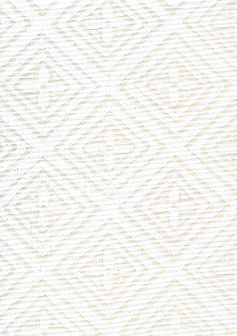 Fiorentina White on Tint fabric by China Seas