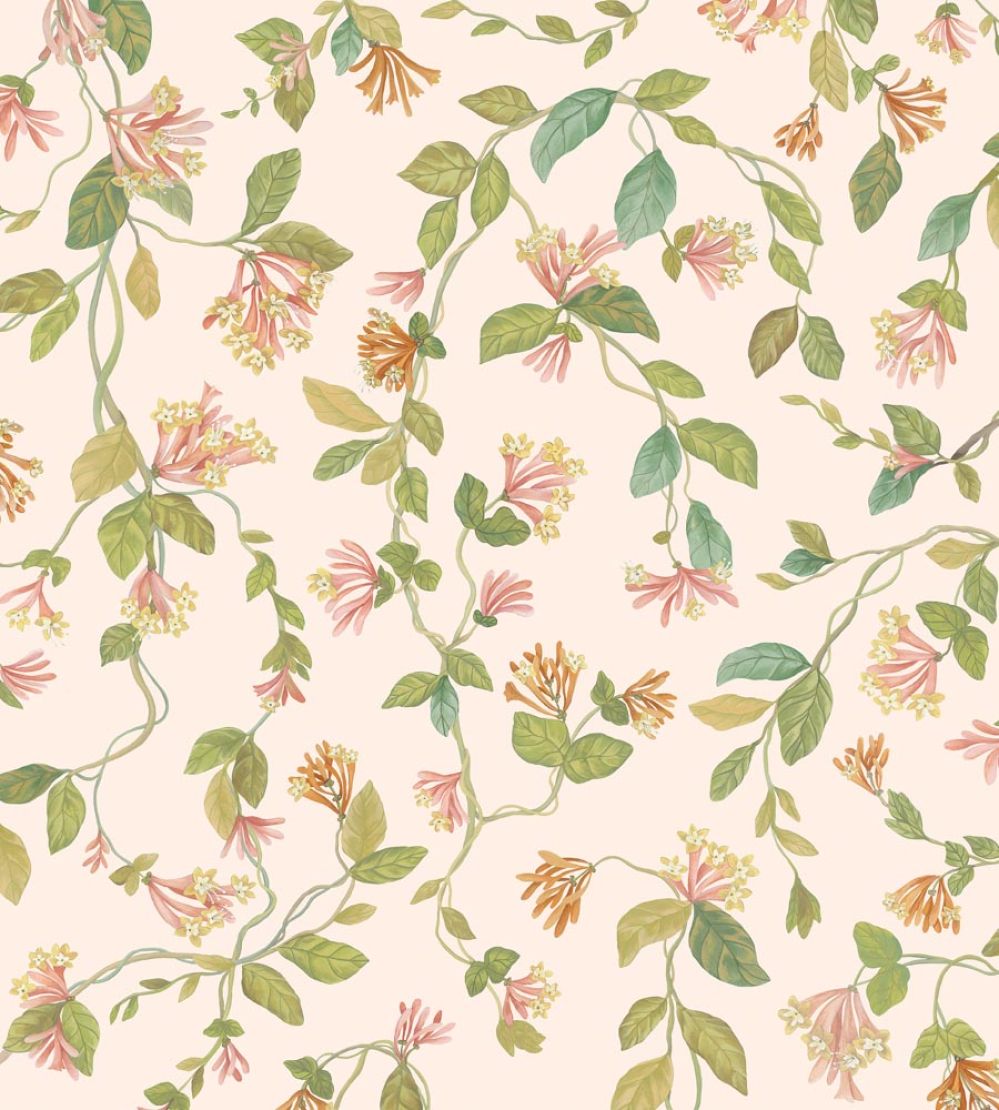 Flora Wallpaper by Cole & Son Tangerine & Olive on Blush