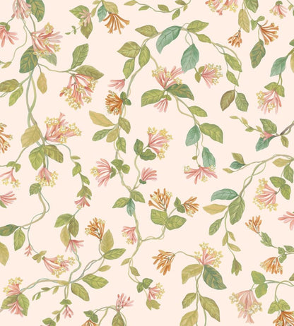 Flora Wallpaper by Cole & Son Tangerine & Olive on Blush
