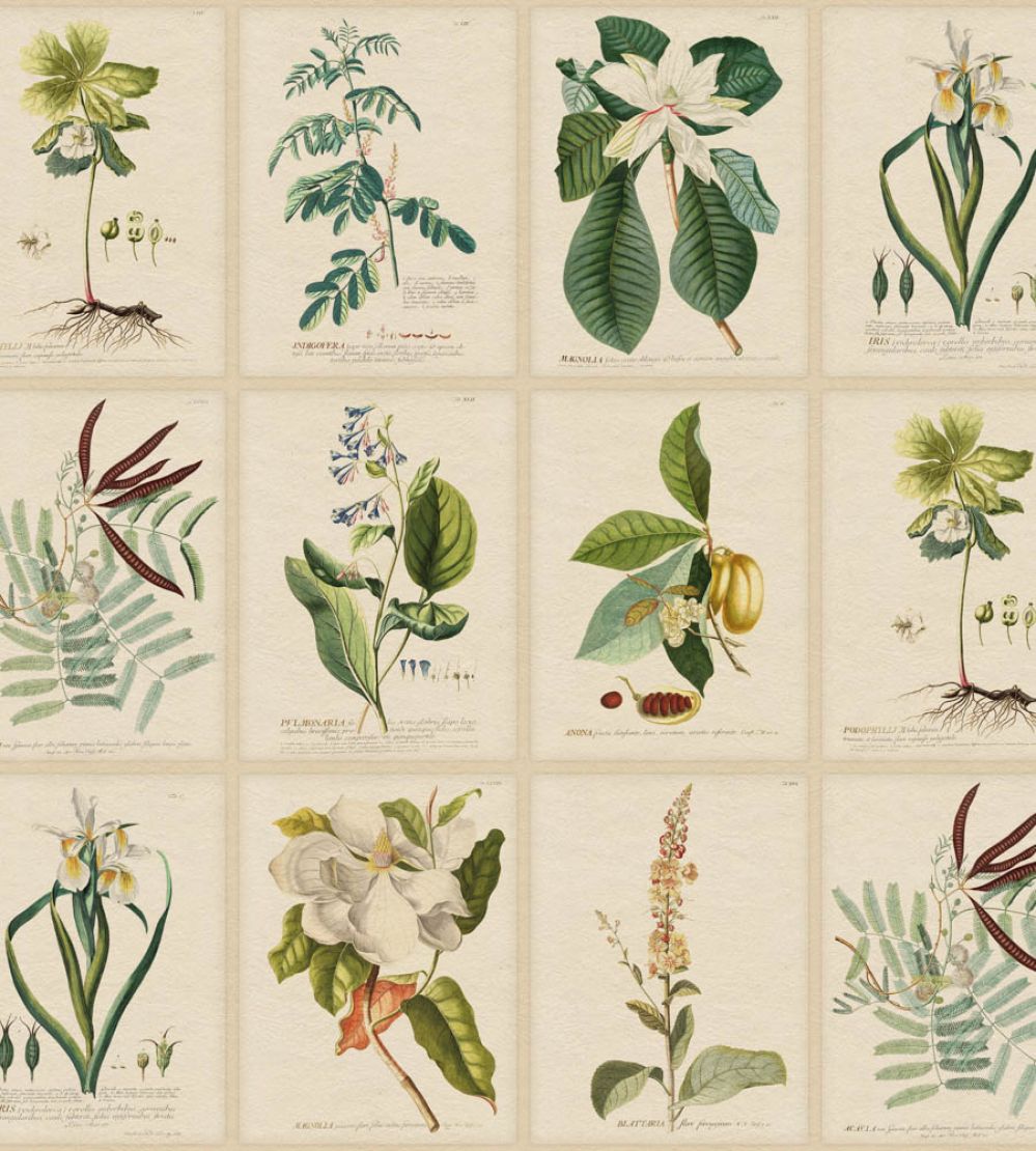 Flora Wallpaper by Sandberg Green