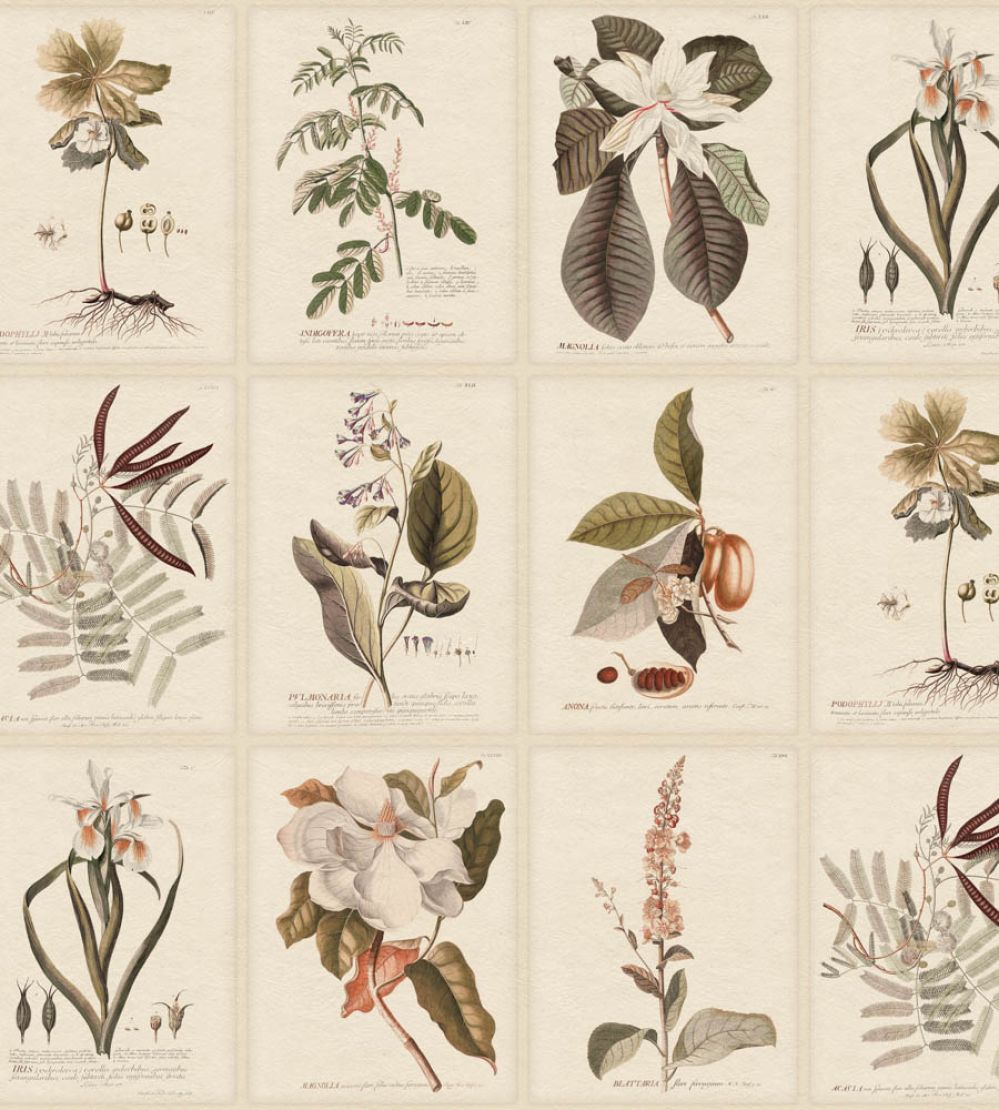 Flora Wallpaper by Sandberg Sepia