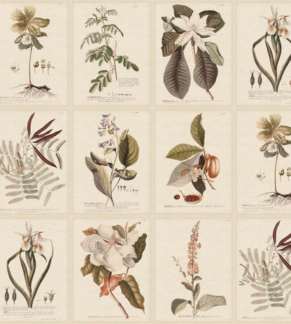 Flora Wallpaper by Sandberg Sepia