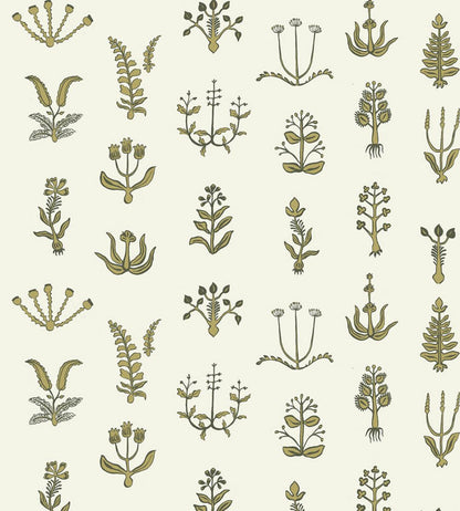 Floral Spot Wallpaper by Josephine Munsey Chaingate Green/Meadow