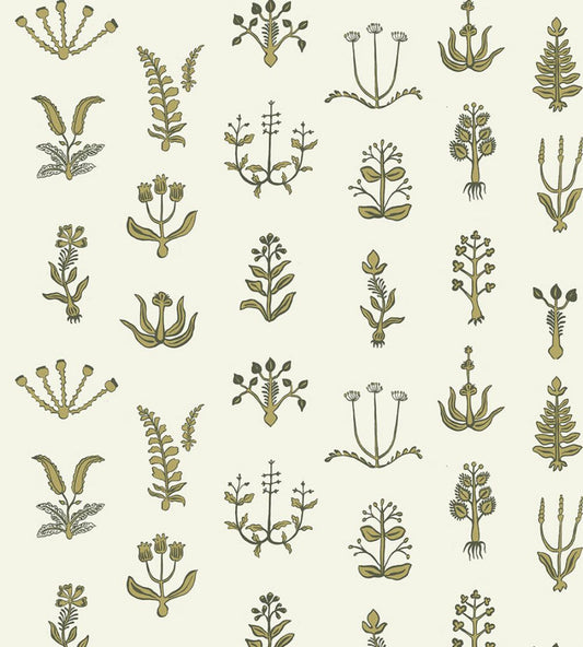 Floral Spot Wallpaper by Josephine Munsey Chaingate Green/Meadow