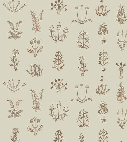 Floral Spot Wallpaper by Josephine Munsey Kemp Brown/Cromwel Stone