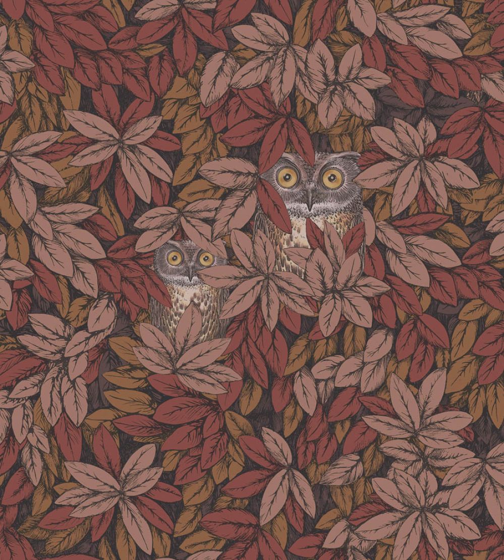 Foglie e Civette Wallpaper by Cole & Son Autumnal Leaves