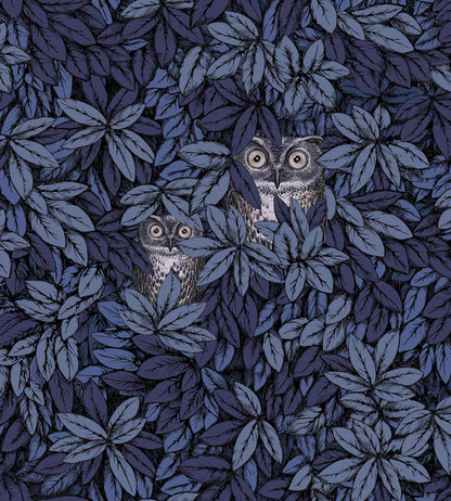 Foglie e Civette Wallpaper by Cole & Son Midnight