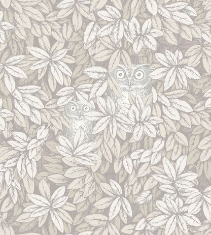 Foglie e Civette Wallpaper by Cole & Son White