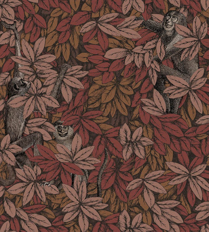 Foglie e Scimmie Wallpaper by Cole & Son Autumnal Leaves
