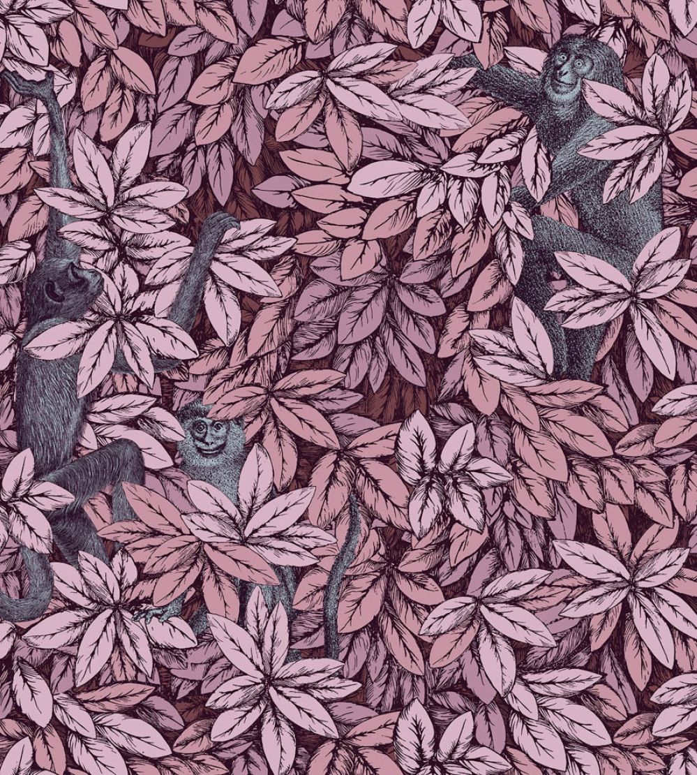 Foglie e Scimmie Wallpaper by Cole & Son Blush with Blue