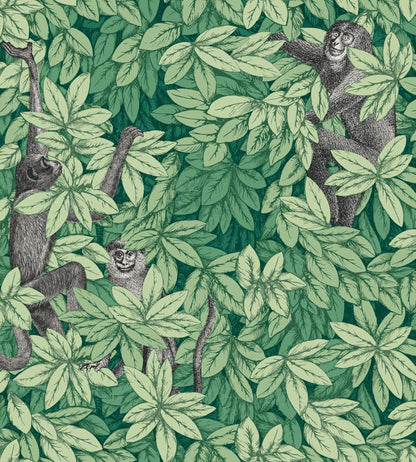 Foglie e Scimmie Wallpaper by Cole & Son Forest Green