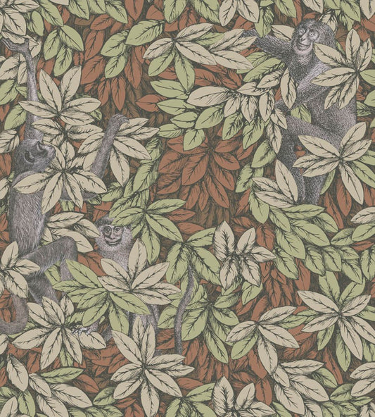 Foglie e Scimmie Wallpaper by Cole & Son Olive & Orange