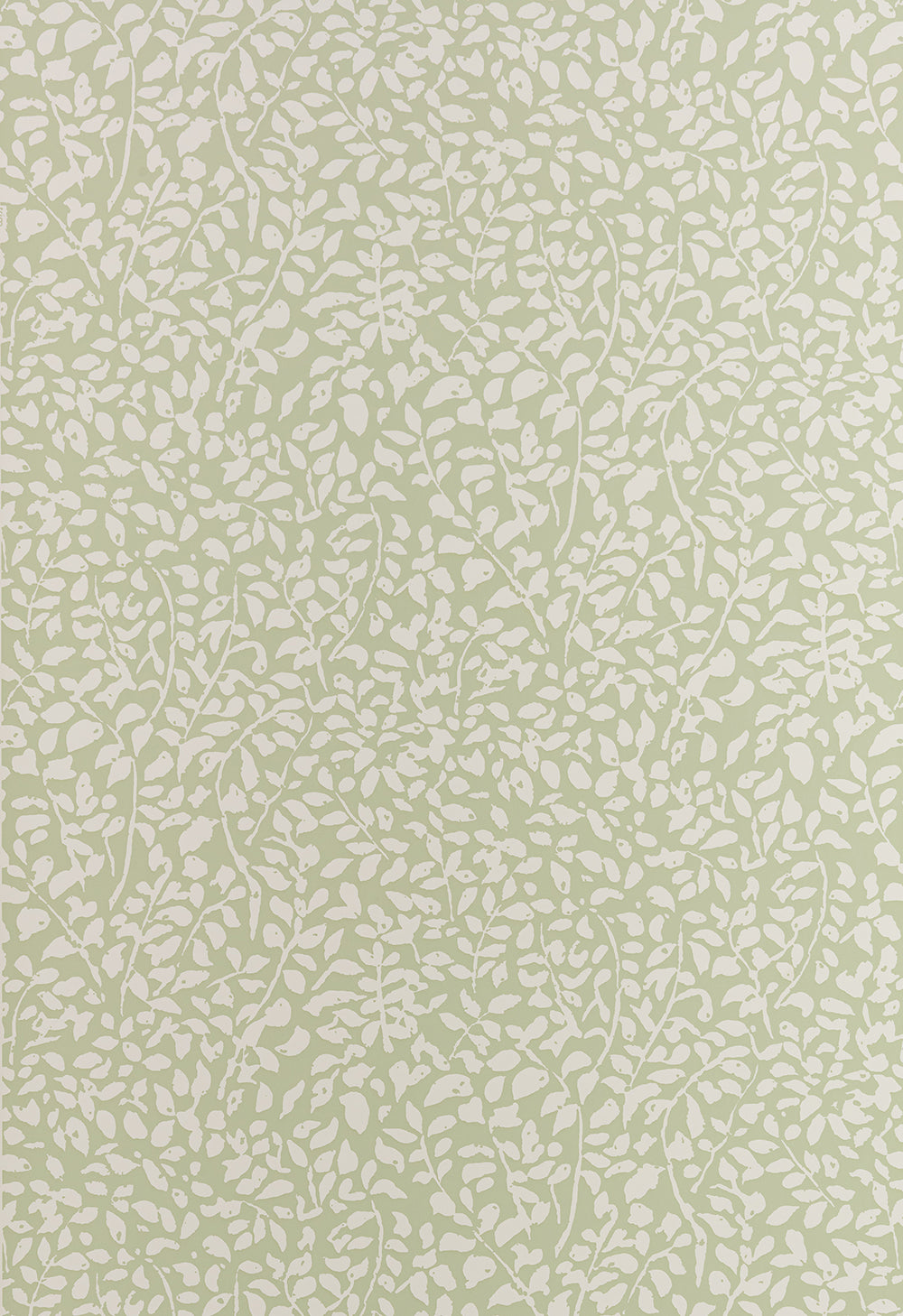 Foliage Reverse Soft French Green on Almost White Paper wallpaper by China Seas