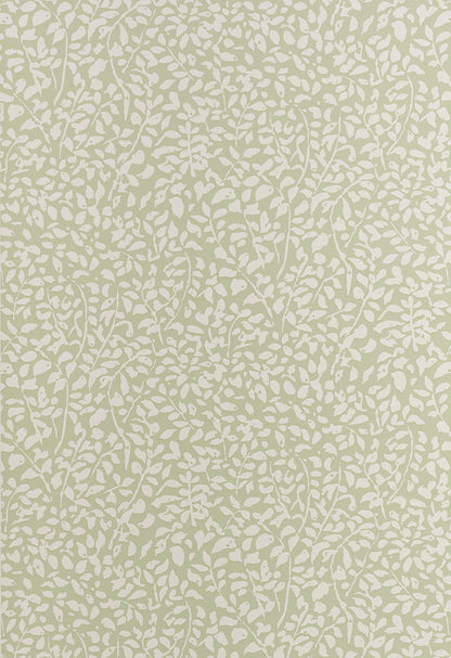 Foliage Reverse Soft French Green on Almost White Paper wallpaper by China Seas