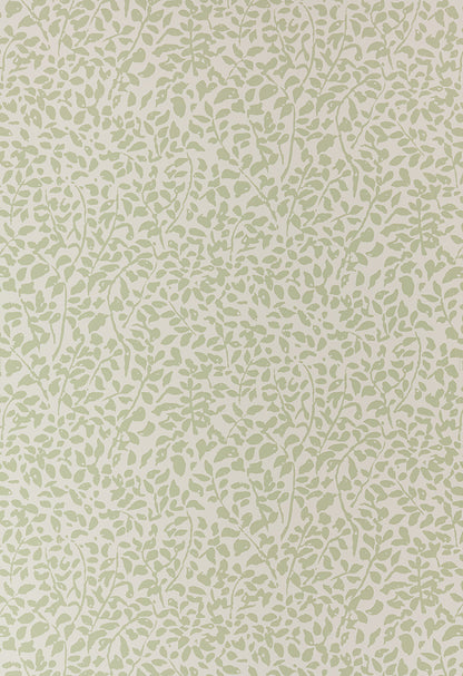 Foliage Soft French Green on Almost White Paper wallpaper by China Seas