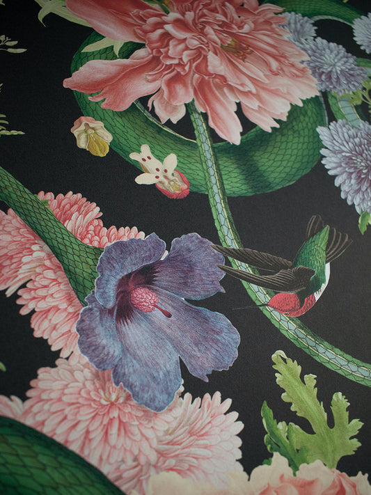 Forbidden Bloom Wallpaper by Divine Savages in Black, pattern swatch