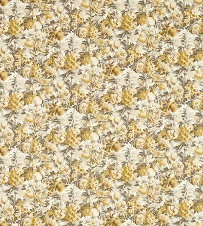 Francis Fabric by Clarke & Clarke Antique/Charcoal