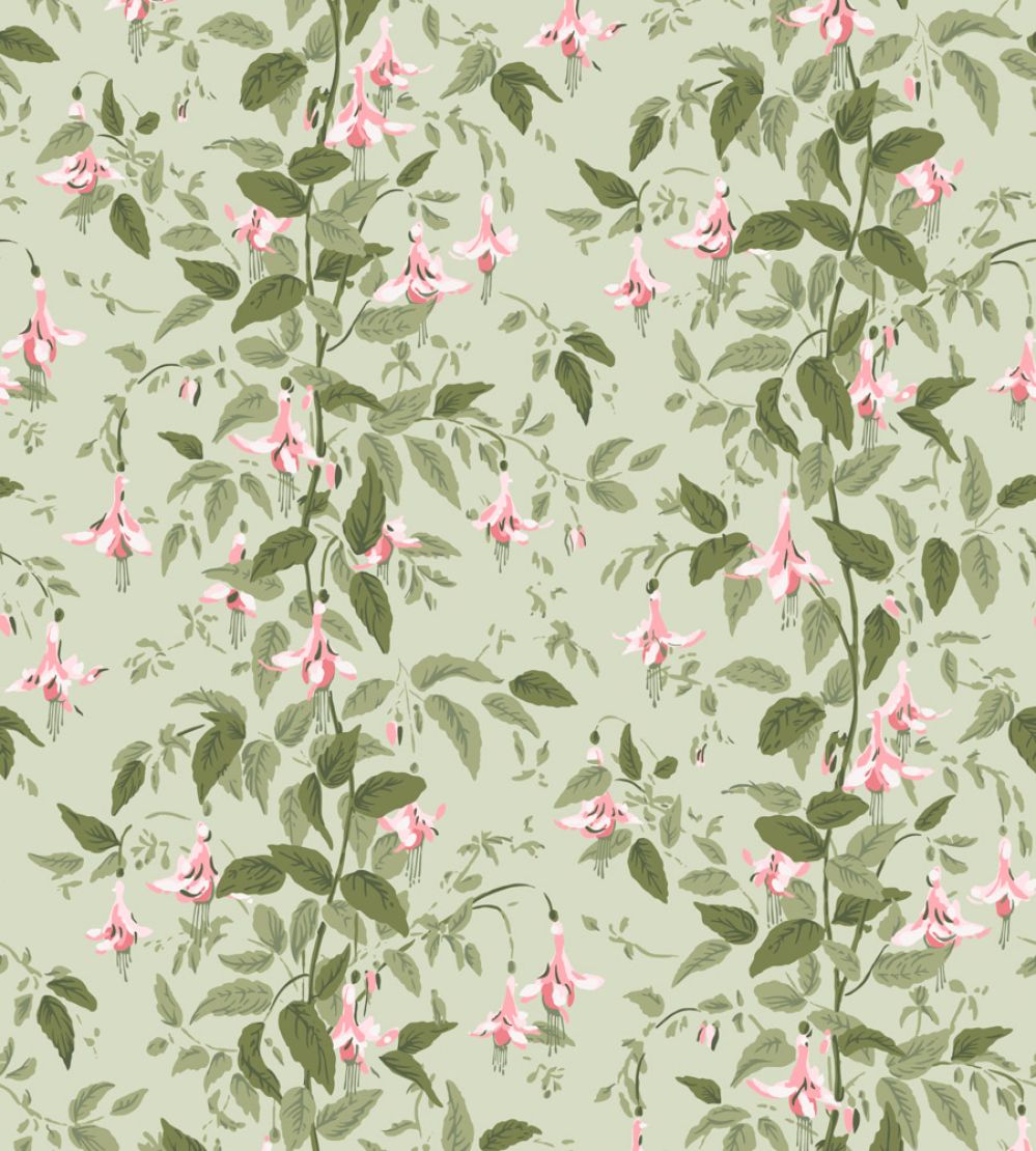 Fuchsia Wallpaper by Cole & Son Powder Pink & Olive on Soft Spring Green
