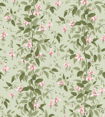 Fuchsia Wallpaper by Cole & Son Powder Pink & Olive on Soft Spring Green