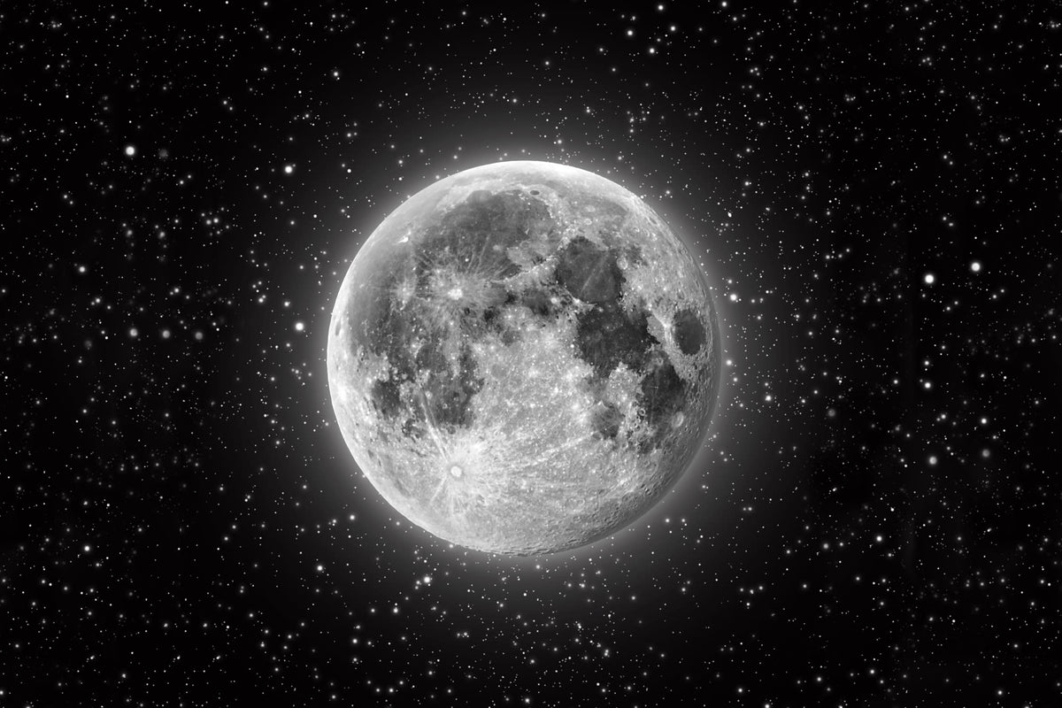 Full Moon Black & White mural by Hovia