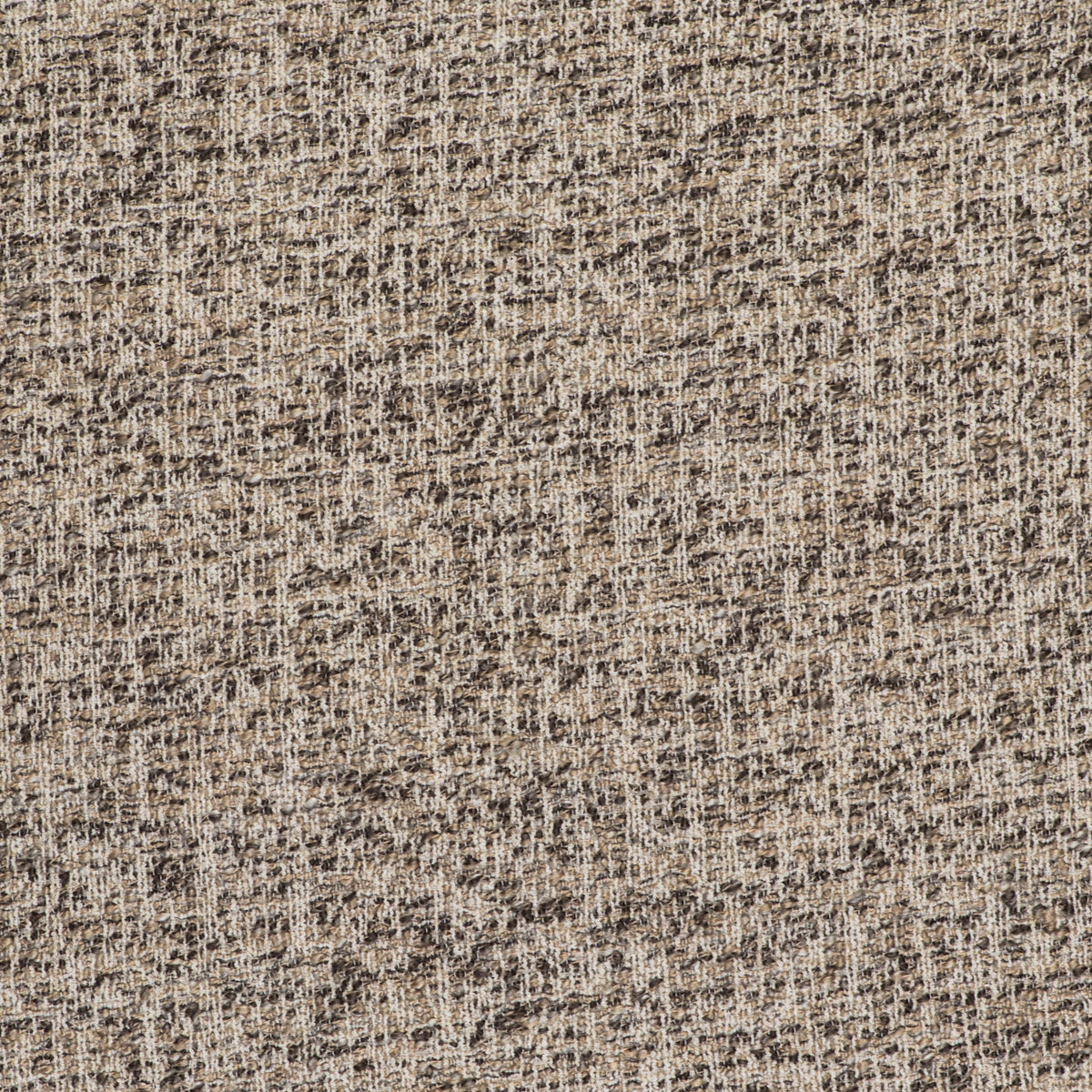 Telar Fabric by Gaston y Daniela in Crudo/Antracita