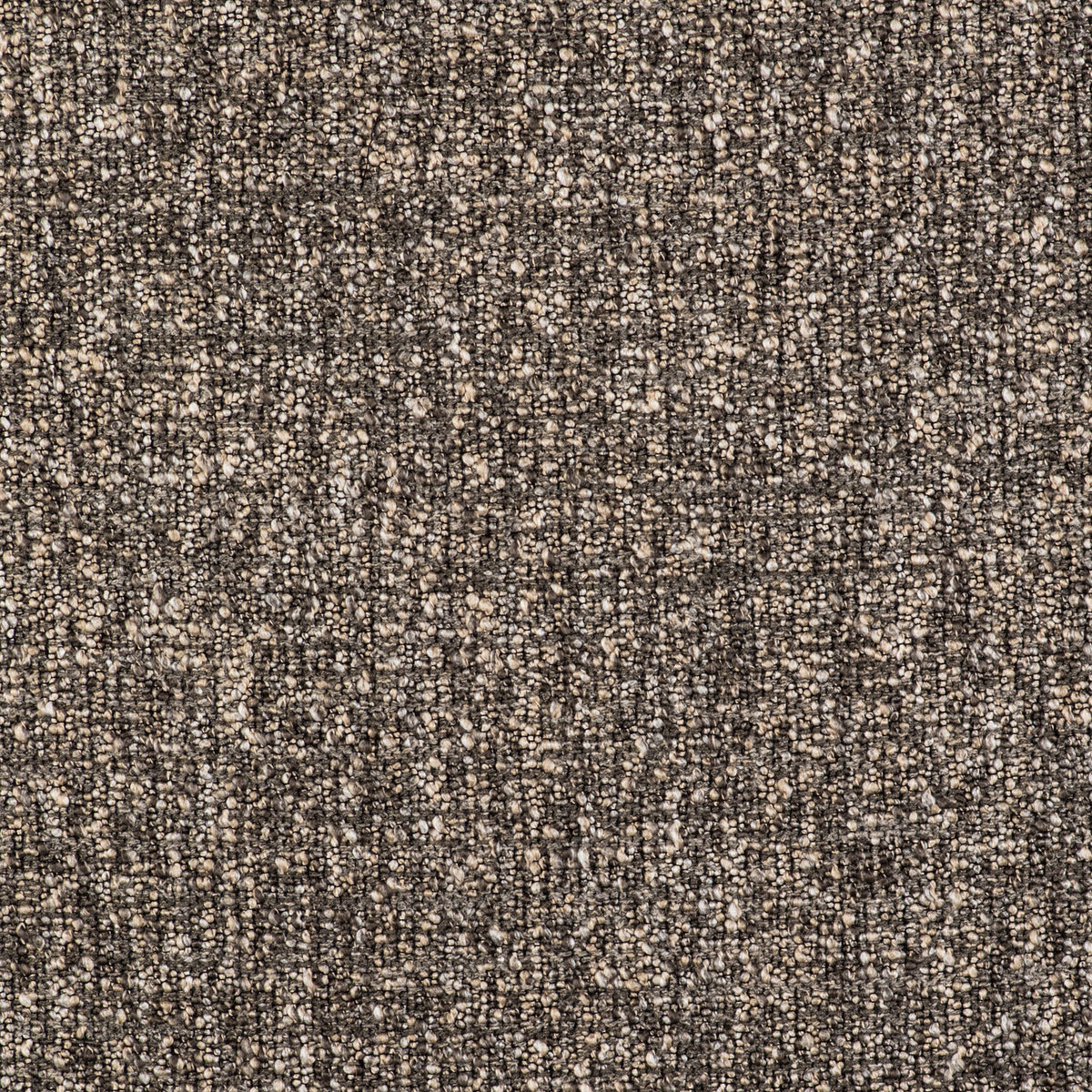 Telar Fabric by Gaston y Daniela in Plomo