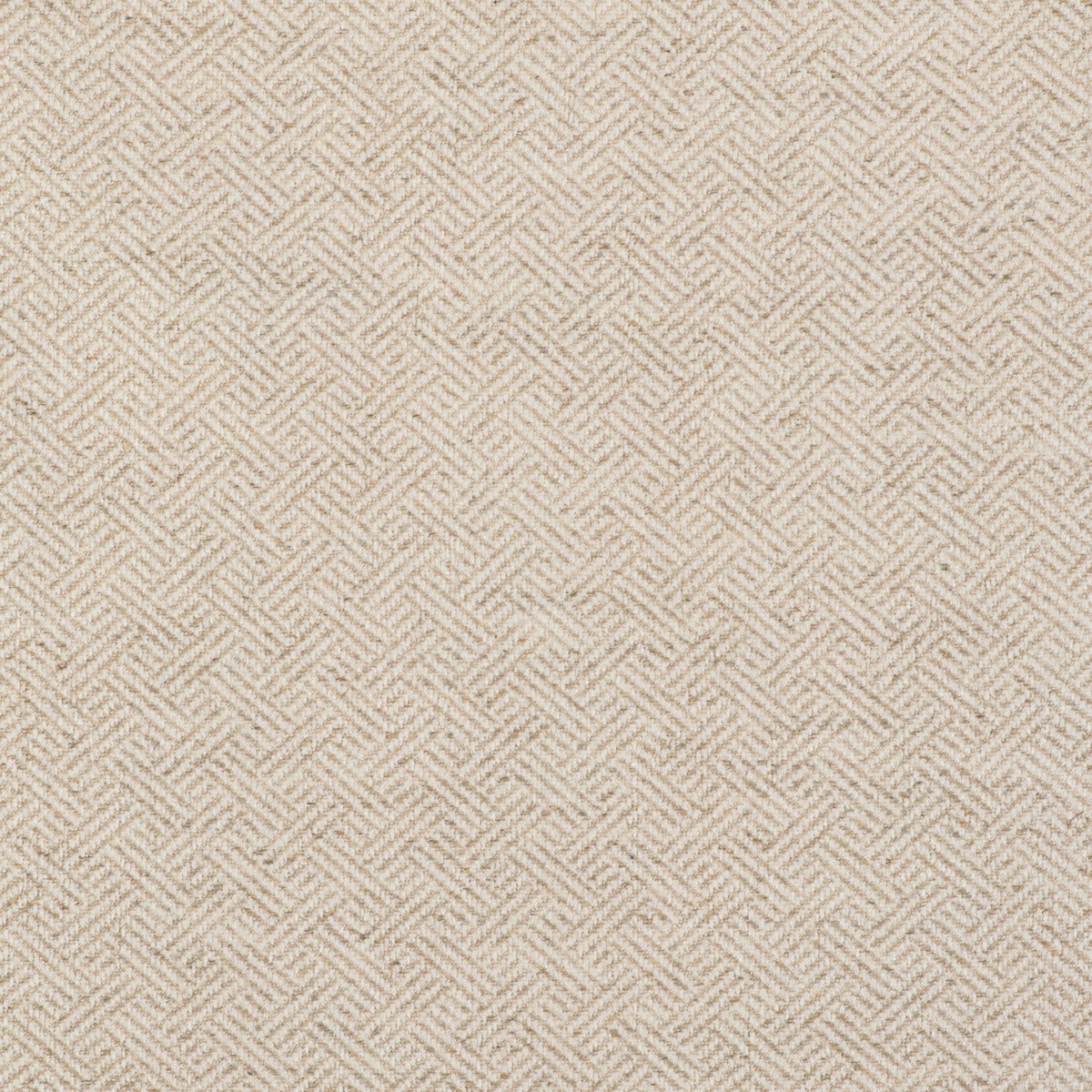 Enea Fabric by Gaston y Daniela in Crudo