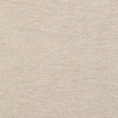 Enea Fabric by Gaston y Daniela in Crudo