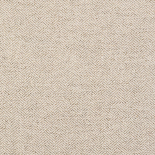 Enea Fabric by Gaston y Daniela in Crudo